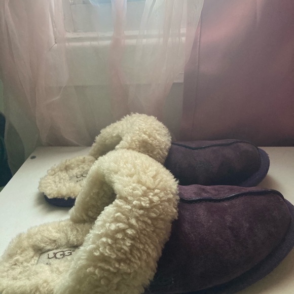 UGG Scuffette - Picture 3 of 5